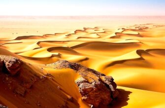 Самые зрелищные пустыни планеты. Туризм в пустыне